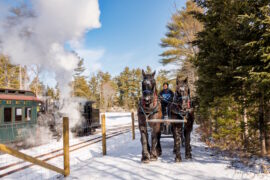 Steam trains meet horse-drawn sleighs during Steam & Sleighs to SeaLyon Farm at the WW&F Railway Museum in Alna, Maine. Steam trains meet horse-drawn sleighs during Steam & Sleighs to SeaLyon Farm at the WW&F Railway Museum in Alna, Maine.