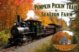 Ride the Pumpkin Pickin' Train to SeaLyon Farm at the WW&F Railway Museum in Alna, Maine.