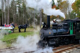 Horse wagon meets the steam train at Top of Mountain station A horse wagon awaits to bring steam train passengers to SeaLyon Farm for a fun activity.