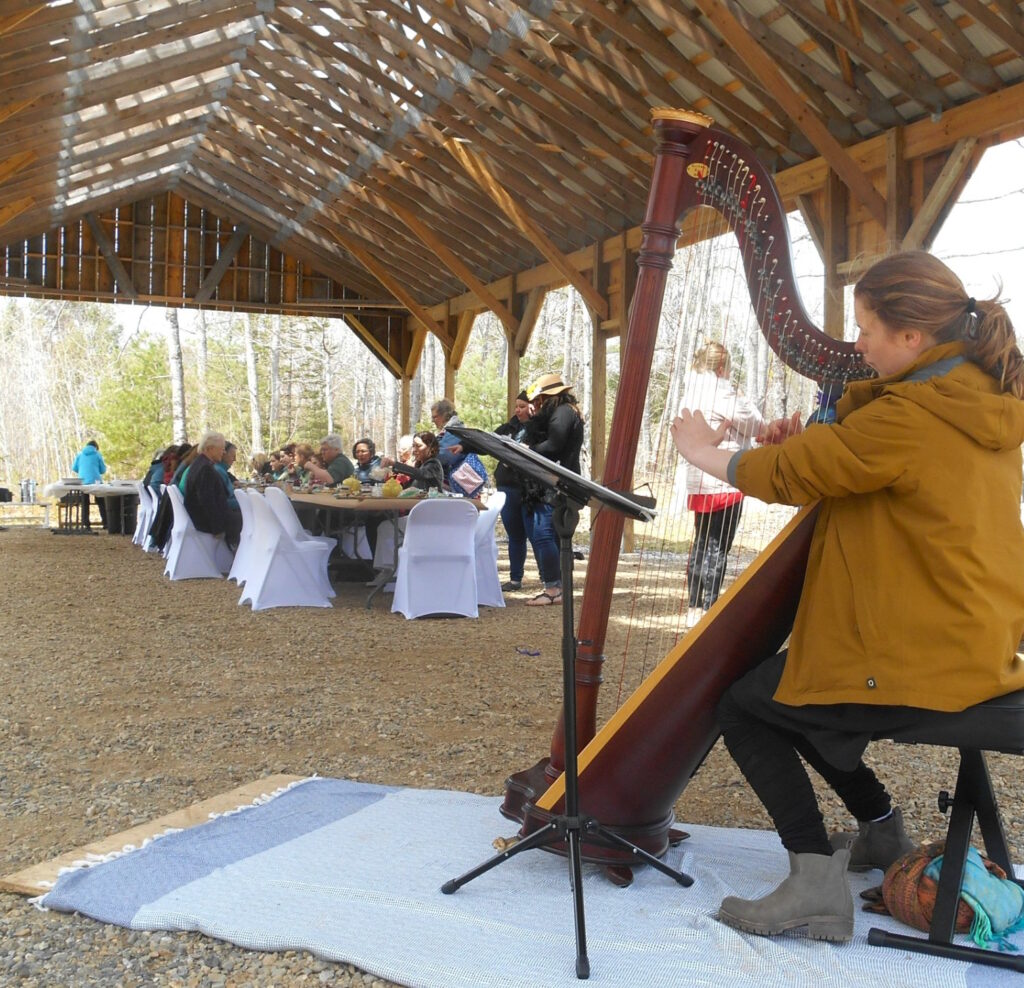 Harpist performing under The Pavilion at Alna Center