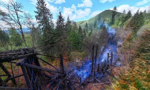 The WW&F will be fundraising for Mt. Rainier Scenic RR's bridge fire recovery on Aug. 22nd, 2026.
