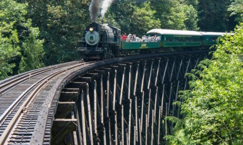 The WW&F will be fundraising for Mt. Rainier Scenic RR's bridge fire recovery on Aug. 22nd, 2026.
