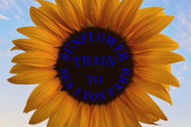 Ride the Sunflower Special to SeaLyon Farm at the WW&F Railway in Midcoast, Alna, Maine.