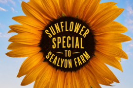 Sunflower Special to SeaLyon Farm Ride the Sunflower Special to SeaLyon Farm at the WW&F Railway in Midcoast, Alna, Maine.