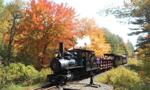 Pumpkin Pickin’ Train to SeaLyon Farm Ride the Pumpkin Pickin' Train to SeaLyon Farm at the WW&F Railway Museum in Alna, Maine.