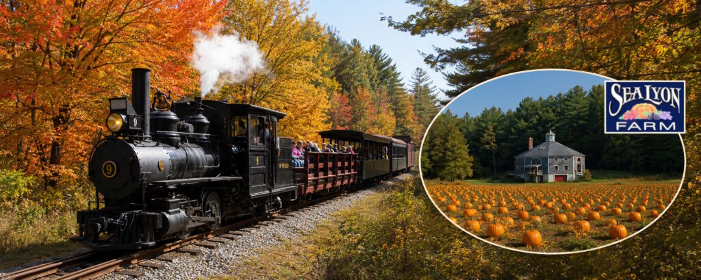 Pumpkin Pickin’ Train to SeaLyon Farm