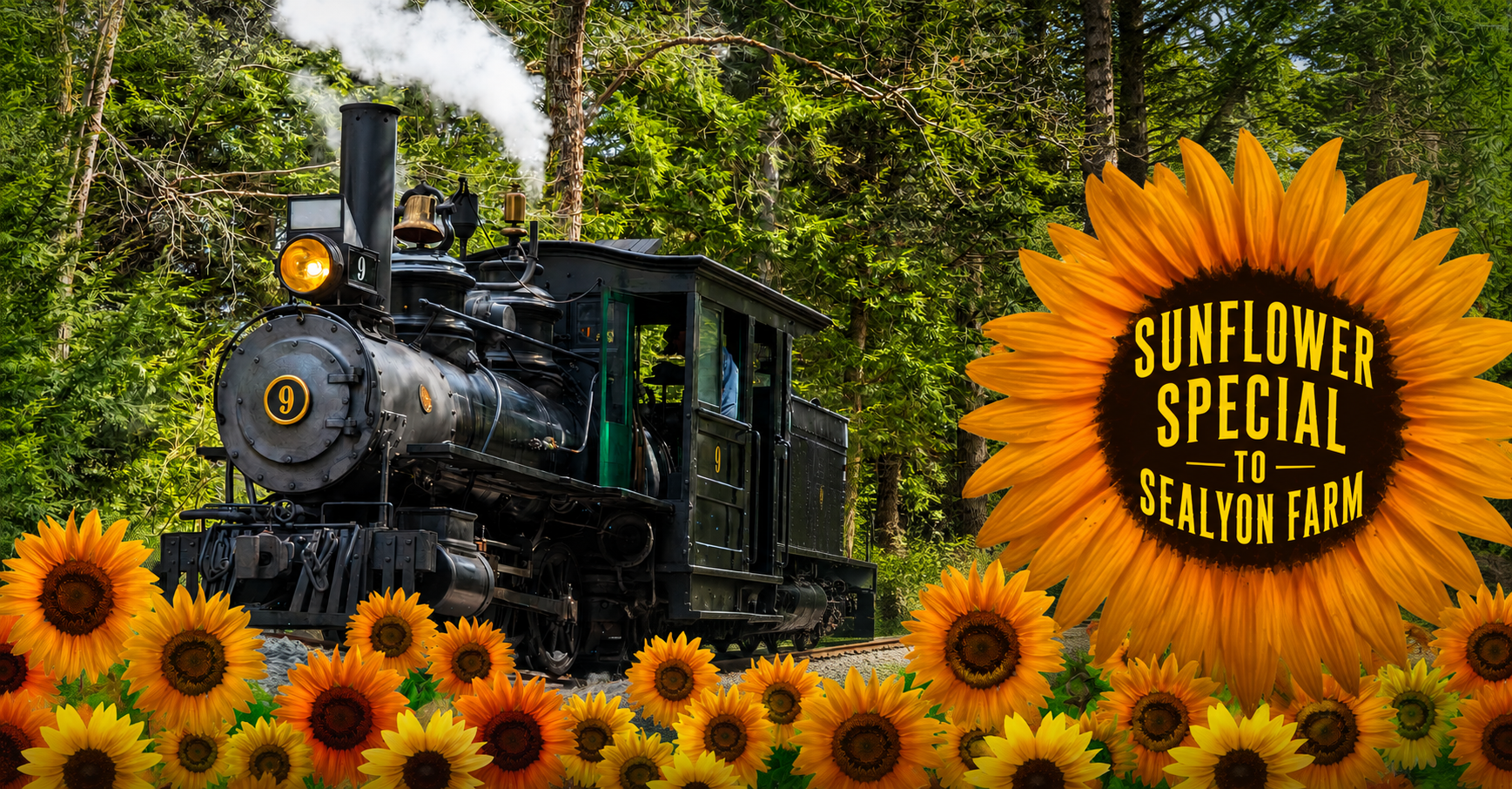 Ride the Sunflower Special to SeaLyon Farm at the WW&F Railway in Midcoast, Alna, Maine.